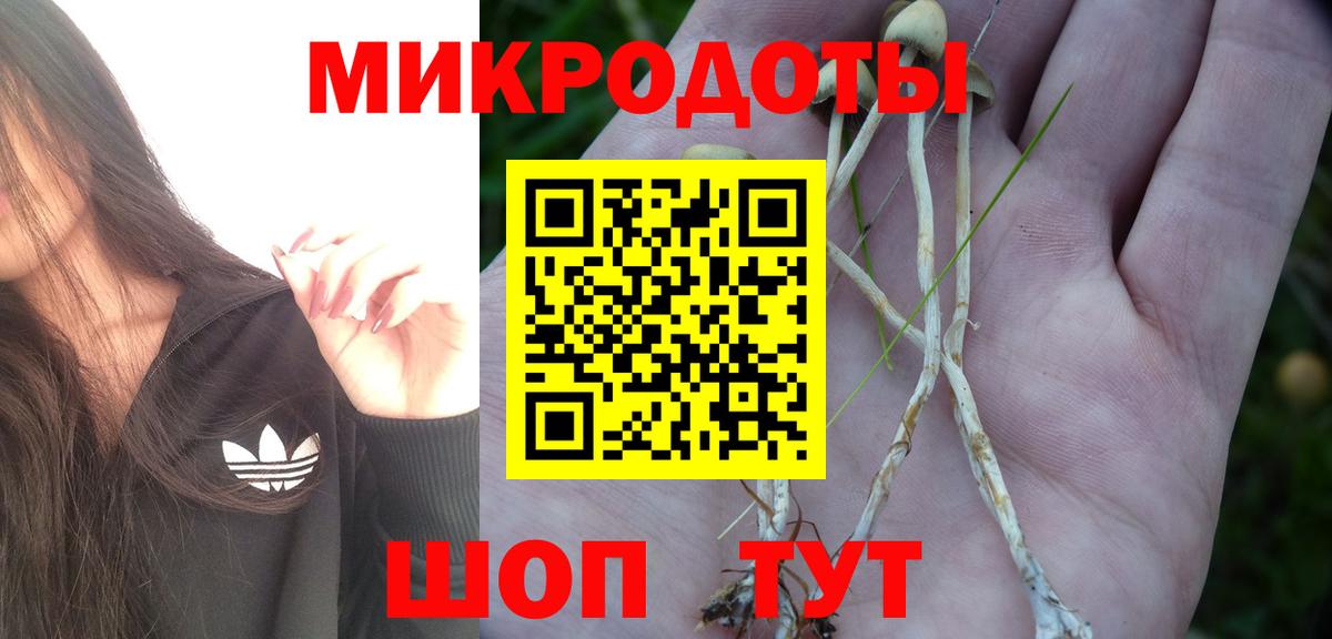 Псилоцибиновые грибы Cubensis  Вход с VPN  купить   Архангельск 